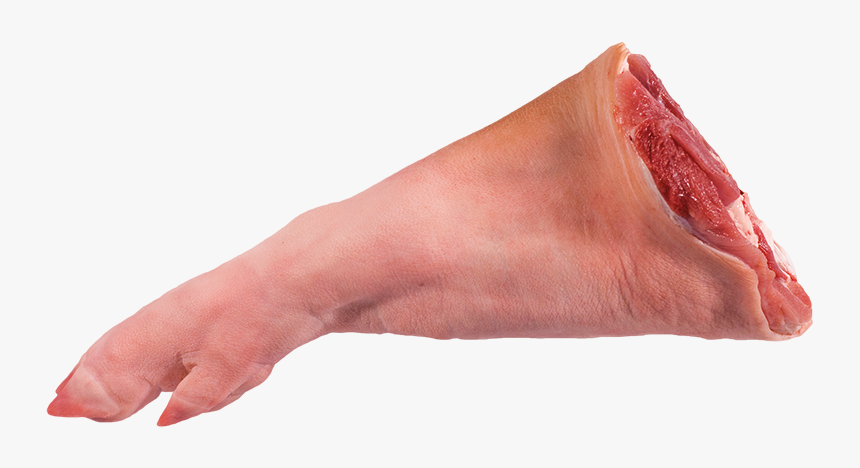 Pork Leg